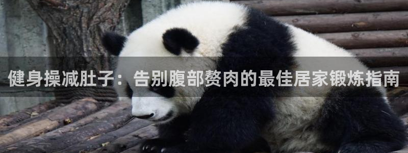 龙8国际手机版官网下载