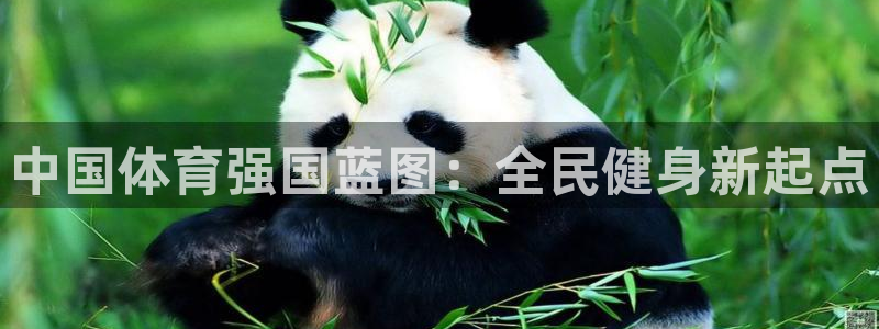 龙8游戏入口