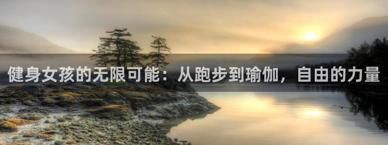 龙 八国际