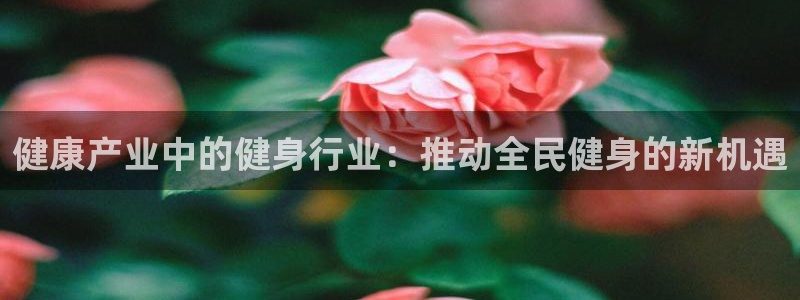 龙8国际是什么平台