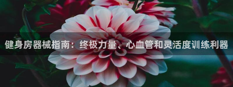 龙8国际为啥改名叫头号玩家了呢