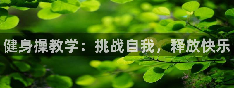 龙8国际pt官网