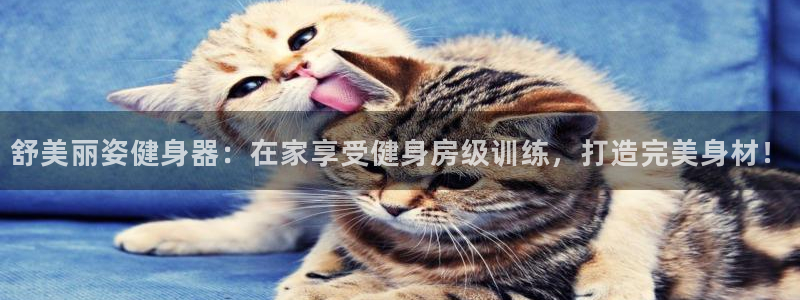 龙8国际是什么平台