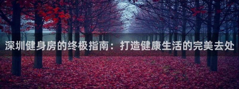 龙八国际娱乐平台网站