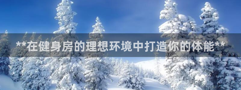 龙8国际官网多少