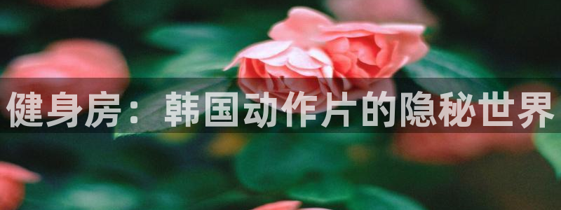 龙8游戏平台的网站