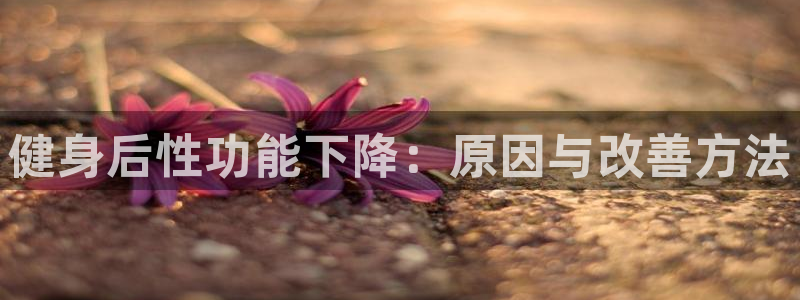 龙8国际pt网址