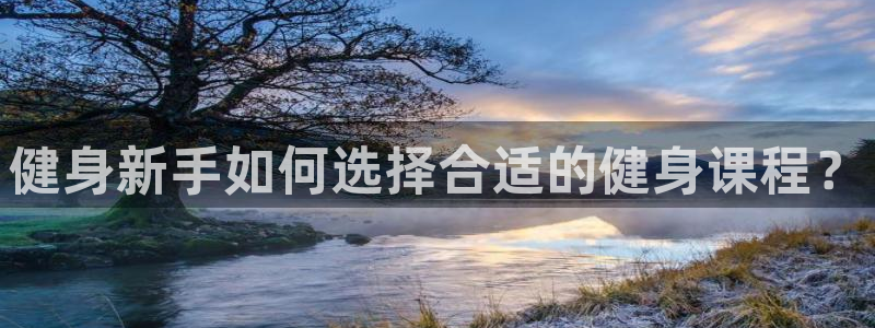 龙 八国际
