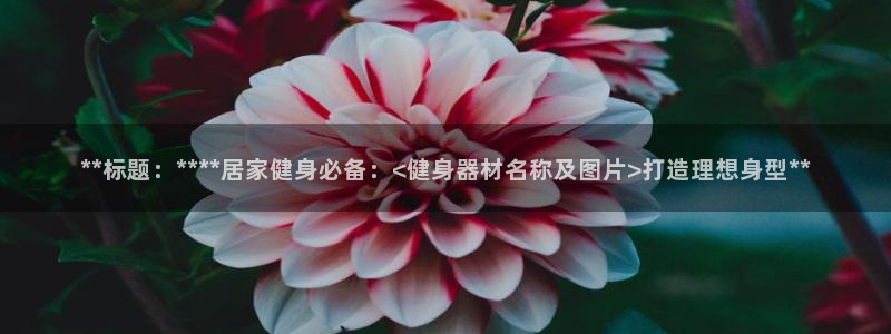 龙8国际app 下载