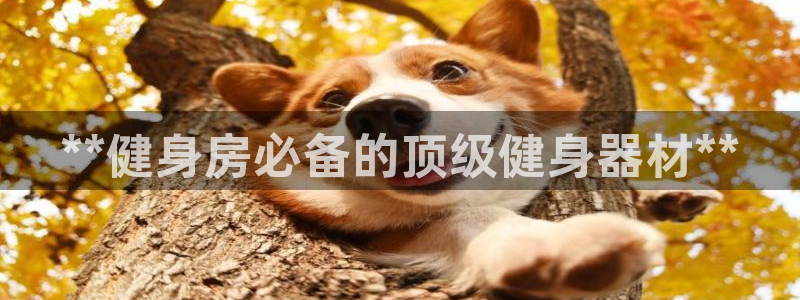 龙八国际唯一官网