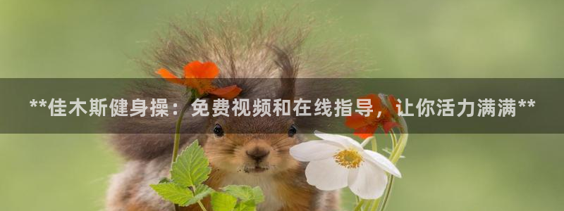 龙8国际手机官网下载安装