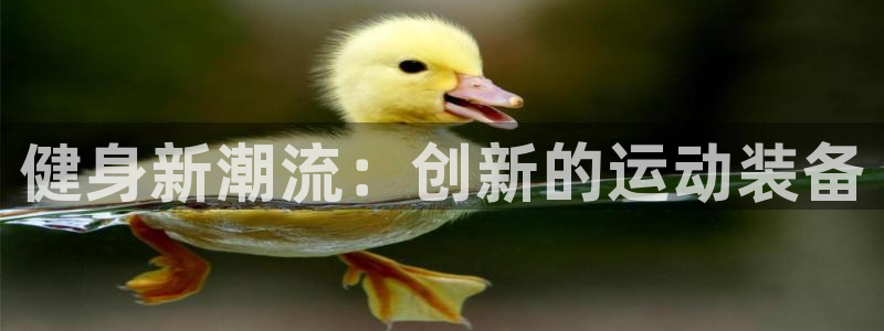 龙八国际下载官网平台
