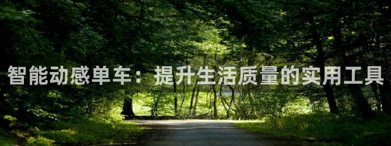 龙8国际pt官网