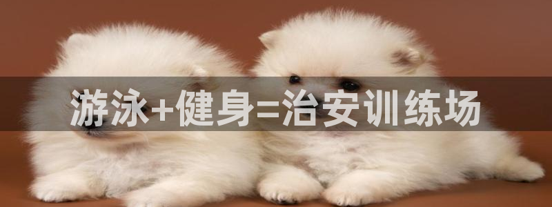 龙8国际ing