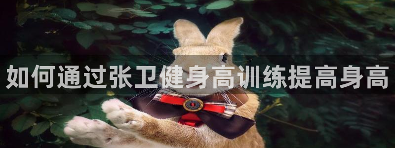 龙8官网手机登入口