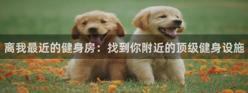龙8国际官网官方版fxzls天地手游 -kc -安卓