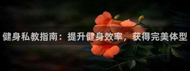 龙8国际手机版官网