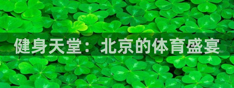 国际龙8官网pt客户端