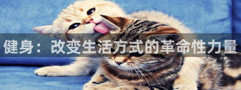 龙8国际官网版玩法
