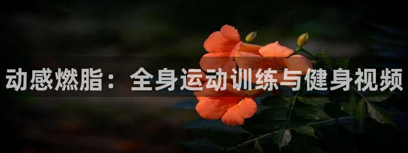 龙8国际官方网站手机版