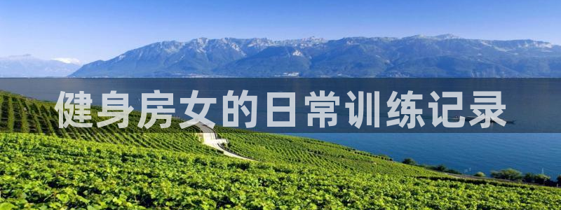 国际龙8hk