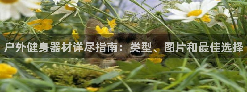 龙8国际最新官网