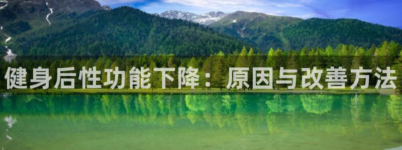 龙八国际官方网