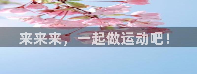 龙八国际娱乐网页多少