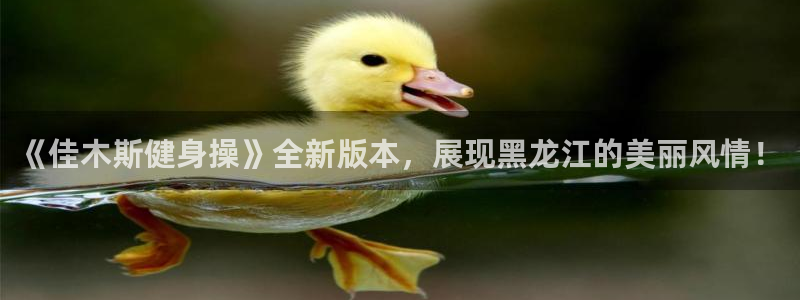 龙8游戏官方进入