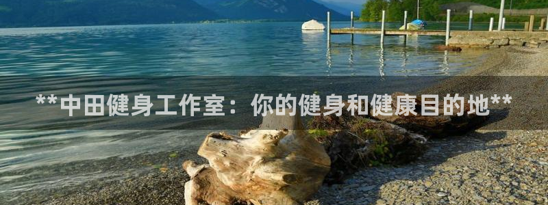 龙八国际pt