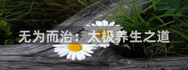 龙8头号玩家游戏官方进入