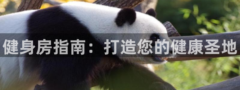 龙8国际真钱