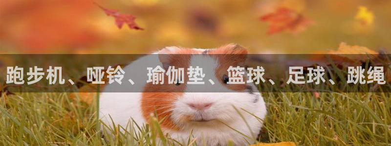 龙8国际官网官方版fxzls天地手游 -kc -安卓