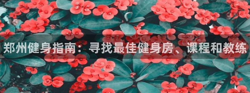 龙8游戏平台老虎机