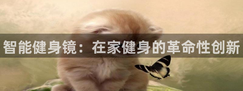 龙8app 国际