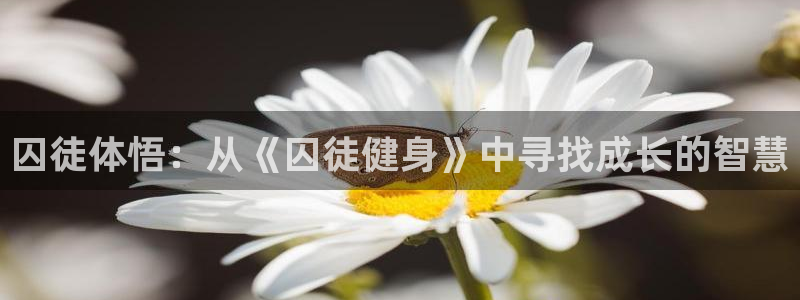 龙8国际在线