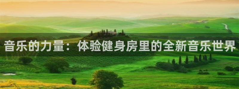龙8国际long123