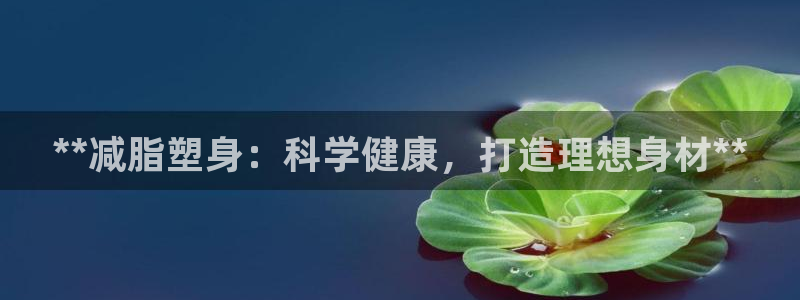 国际龙8下载