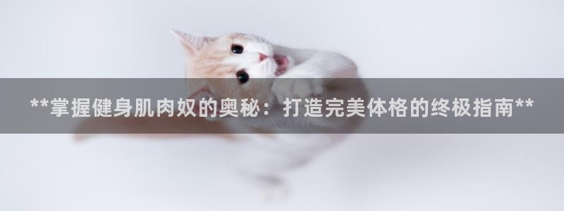 龙8国际网址
