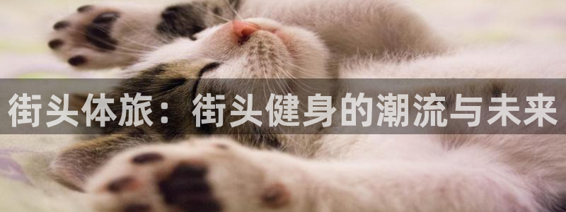 龙8国际登陆