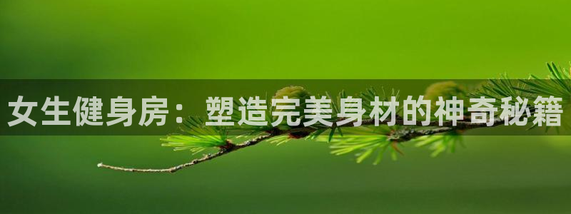 龙8国际手机官网下载