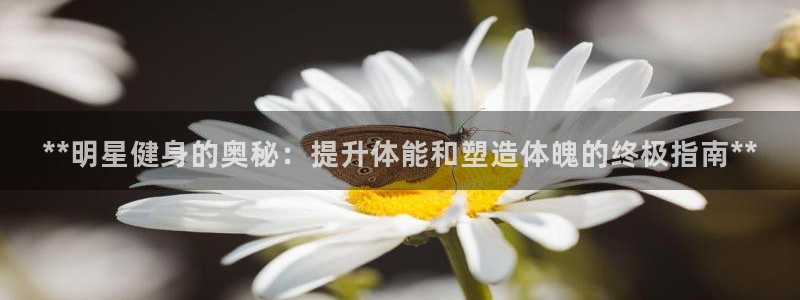 龙8国际为啥改名叫头号玩家了
