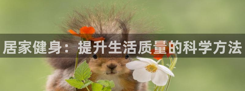 龙8游戏官方网站s