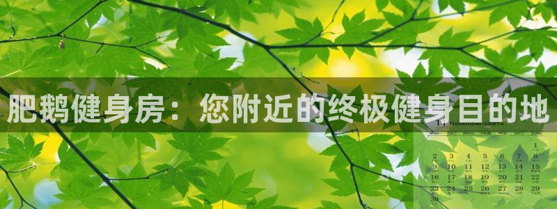 龙8国际2021年4.15更新版baoli