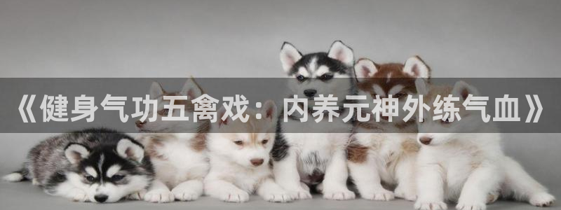 龙8国际是不是黑台子