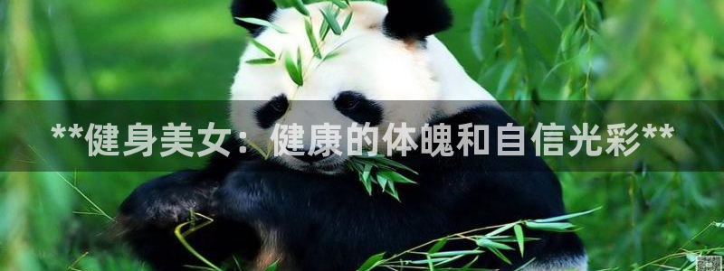 龙8国际老虎机娱乐