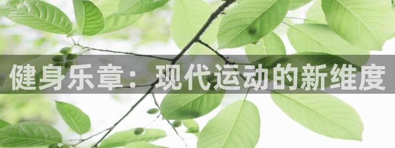 龙8国际网站怎么样