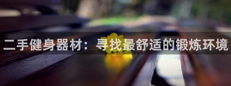 龙8国际手机版官网下载