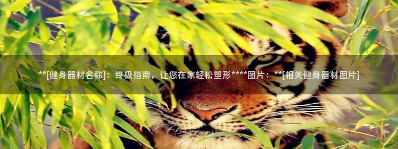 龙8游戏官方进入