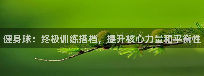 龙8国际的官网
